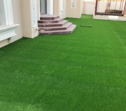 Artificial Grass Carpet