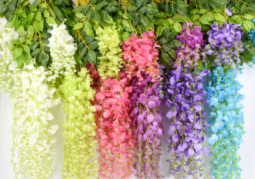 Flowers and green glaess
