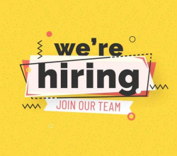 SALES EXECUTIVE